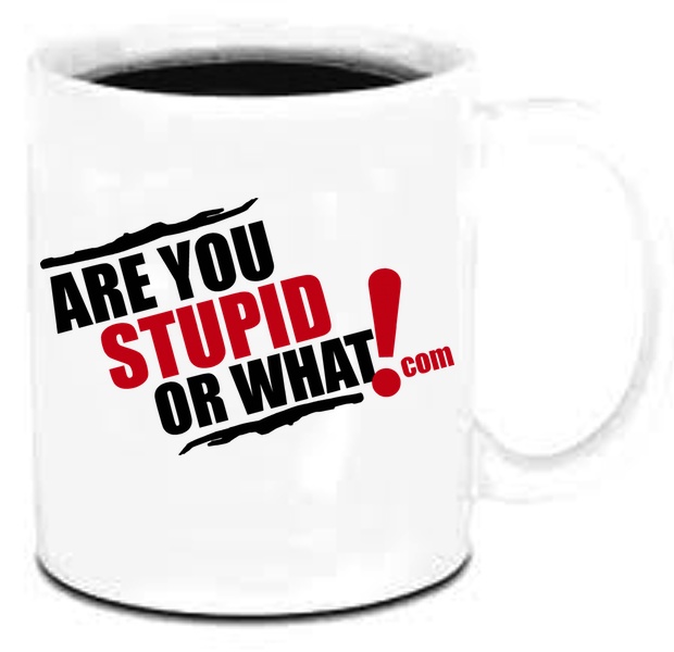 Are You Stupid Or What Coffee Mug