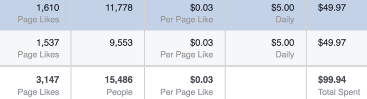 Facebook Fan Page Results Three Cents.png