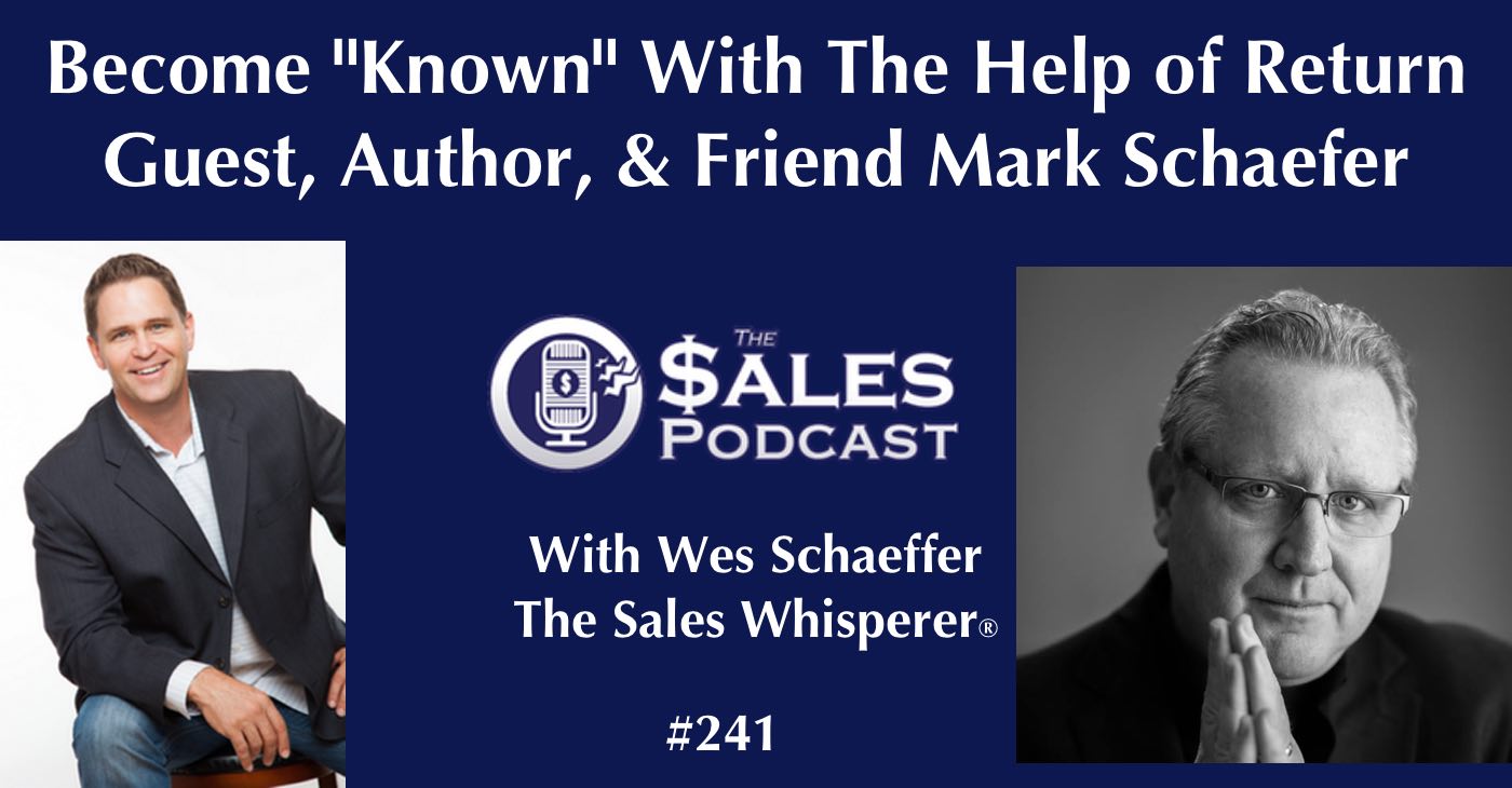 Mark Schaefer 2 on The Sales Podcast.jpg