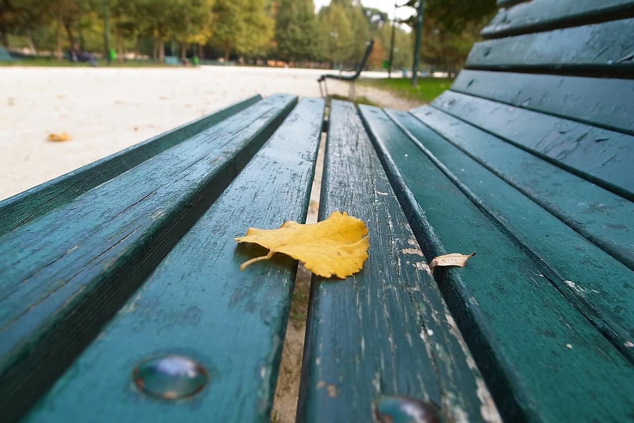 empty_bench_wes_schaeffer_from_todays_reading